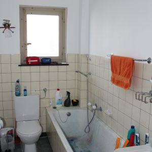 IMG 4594
